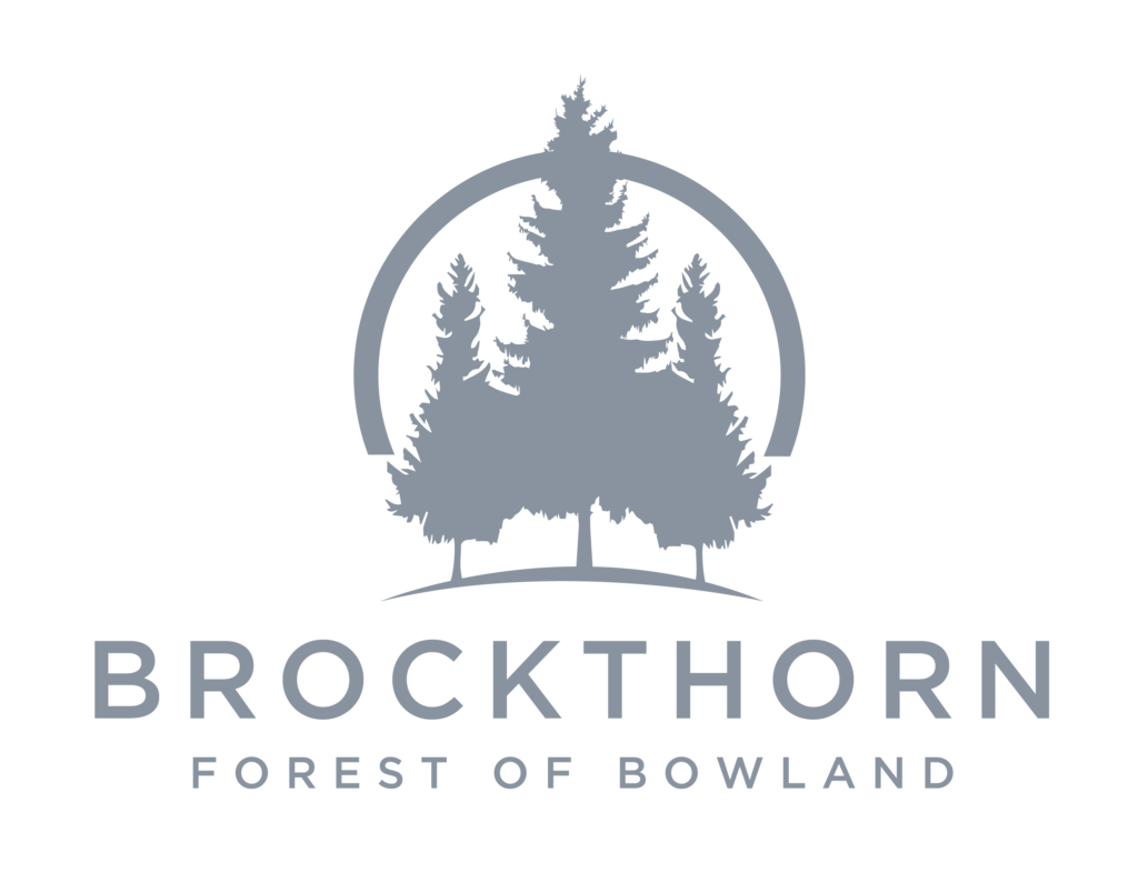 2022 brockthorn logo