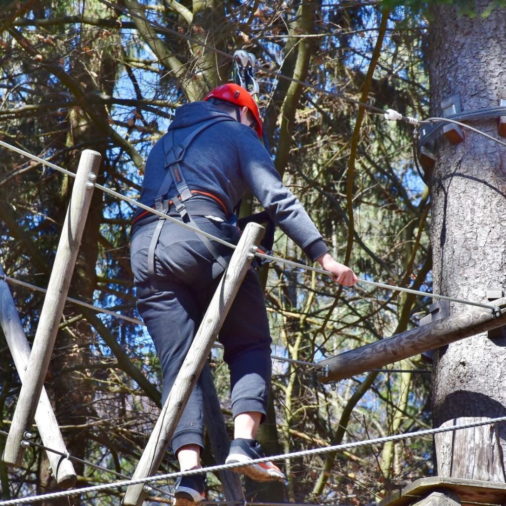 grizedale forest activities 2021